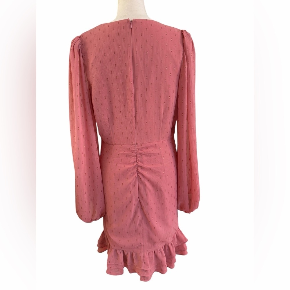 Express Blush Pink Long Sleeve Ruffle Mini lDress - Picture 6 of 7